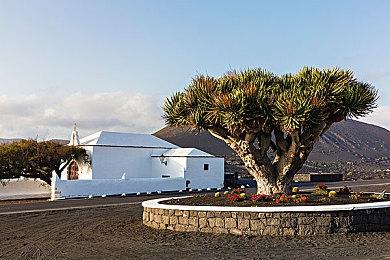 只有美服受伤的世界 任天堂回应《塞尔达传说：王国之泪》定价70美元